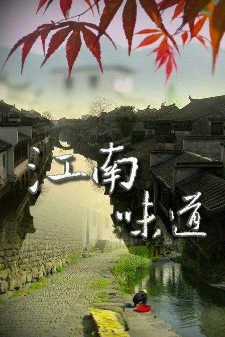战鸽总动员
