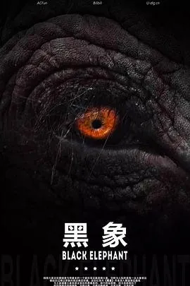 速度与激烈